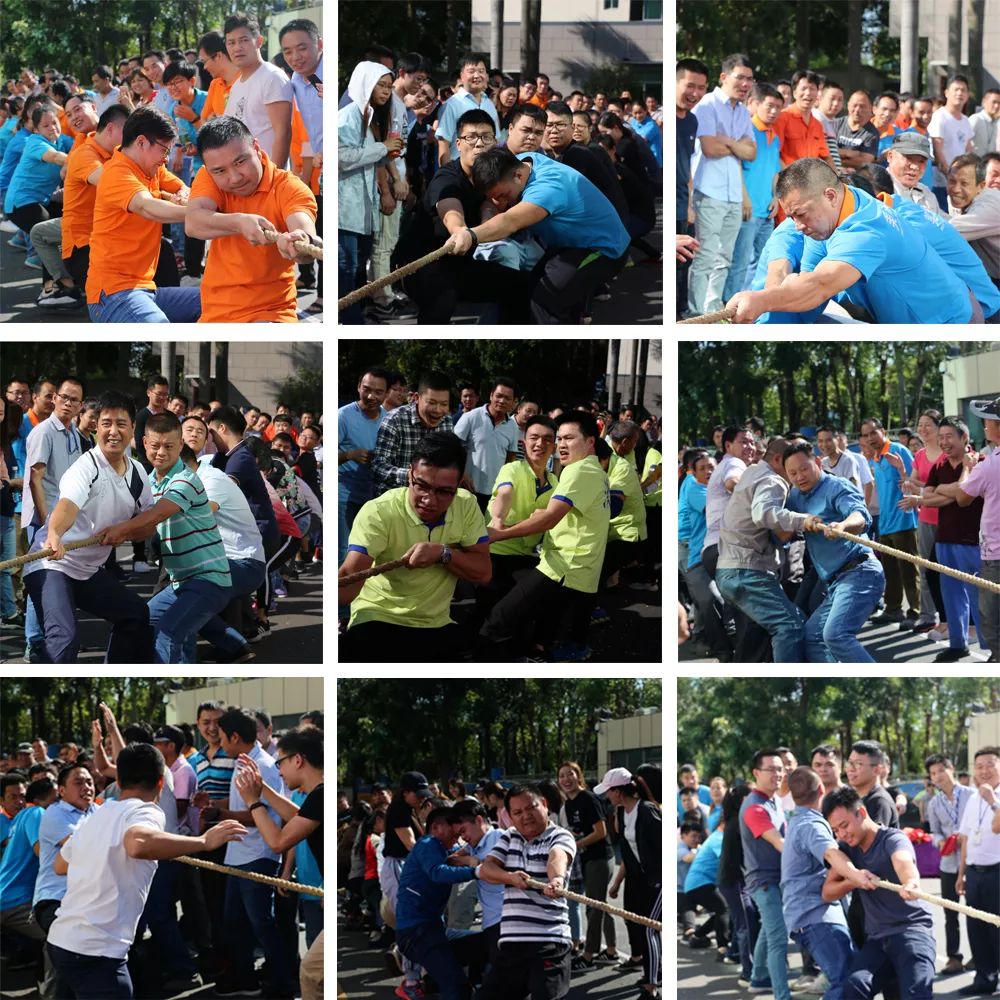 万利官网-不凡成就非凡,相信品牌力量