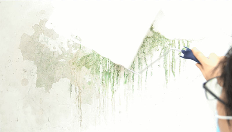 万利官网-不凡成就非凡,相信品牌力量