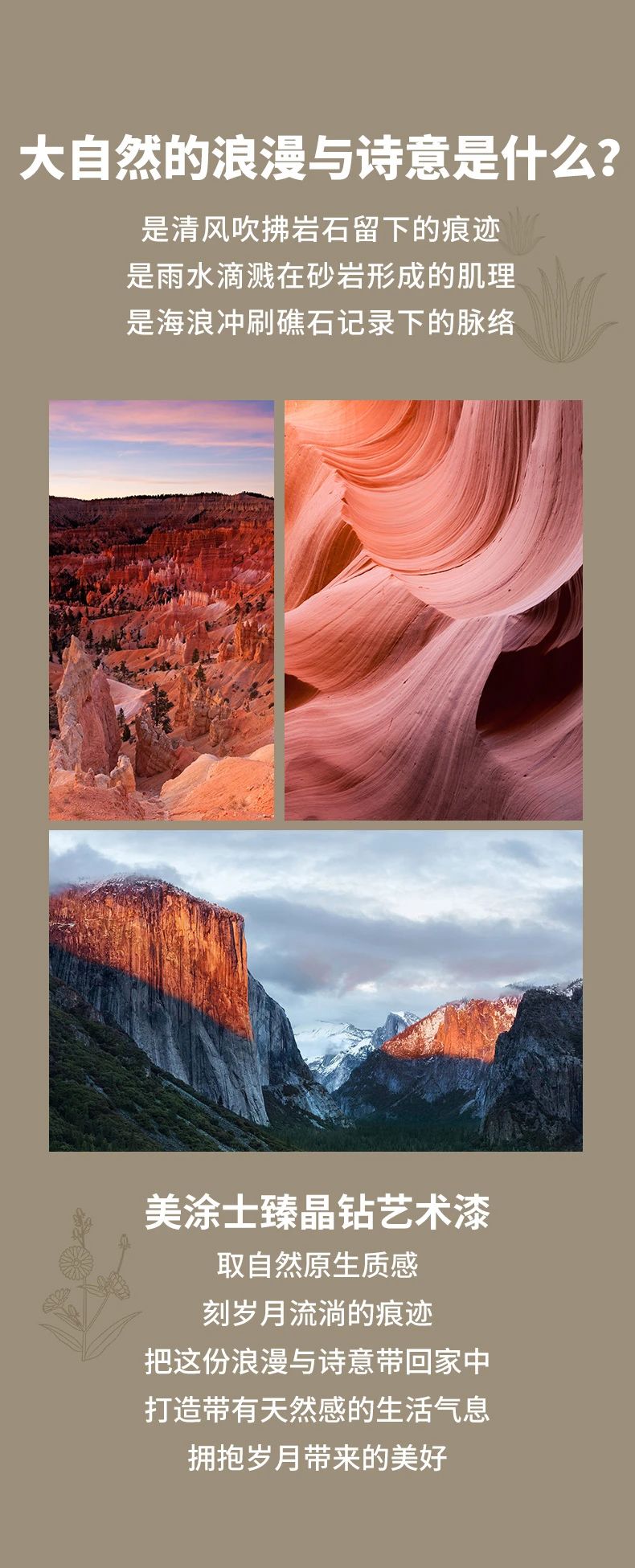 万利官网-不凡成就非凡,相信品牌力量