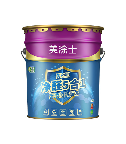 美之星净醛5合1无增长墙面漆